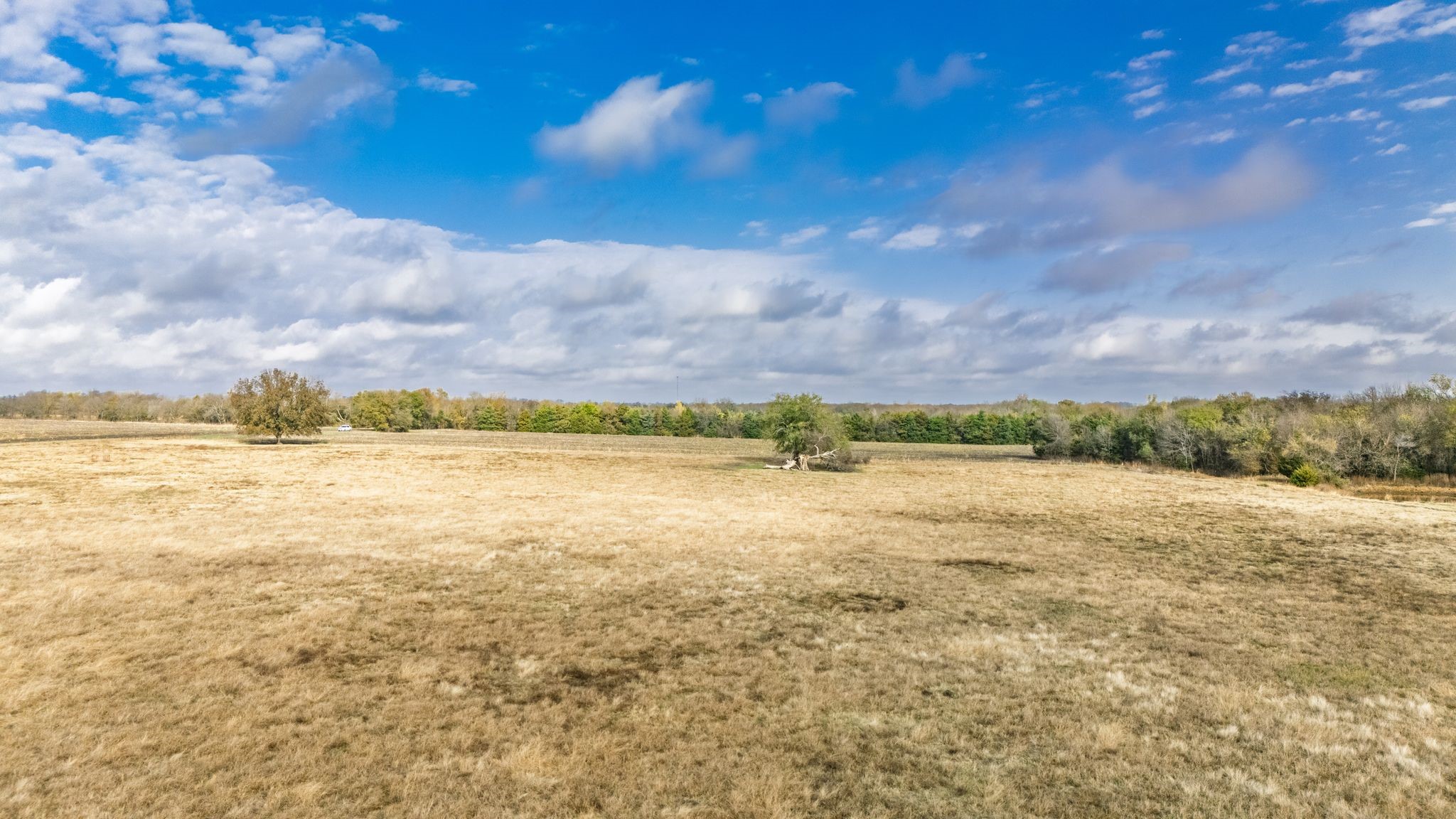 Tbd Cr 3140 Cooper TX 75432