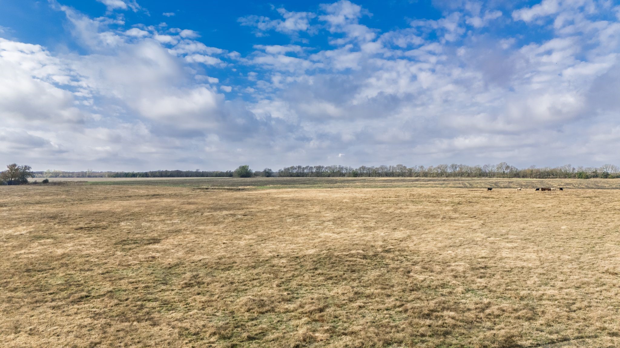 Tbd Cr 3140 Cooper TX 75432