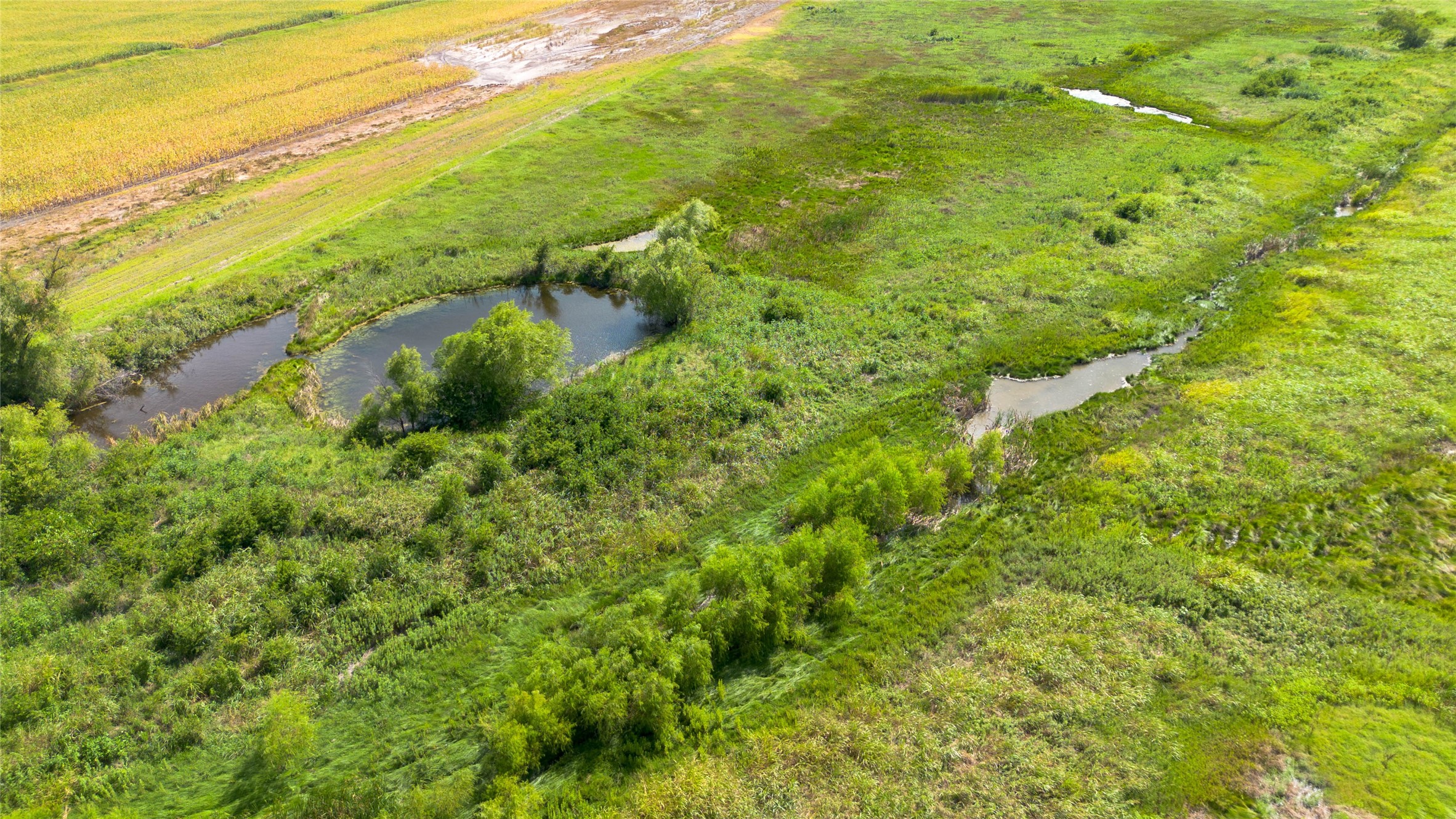 4581 State Highway 171 Bynum TX 76631