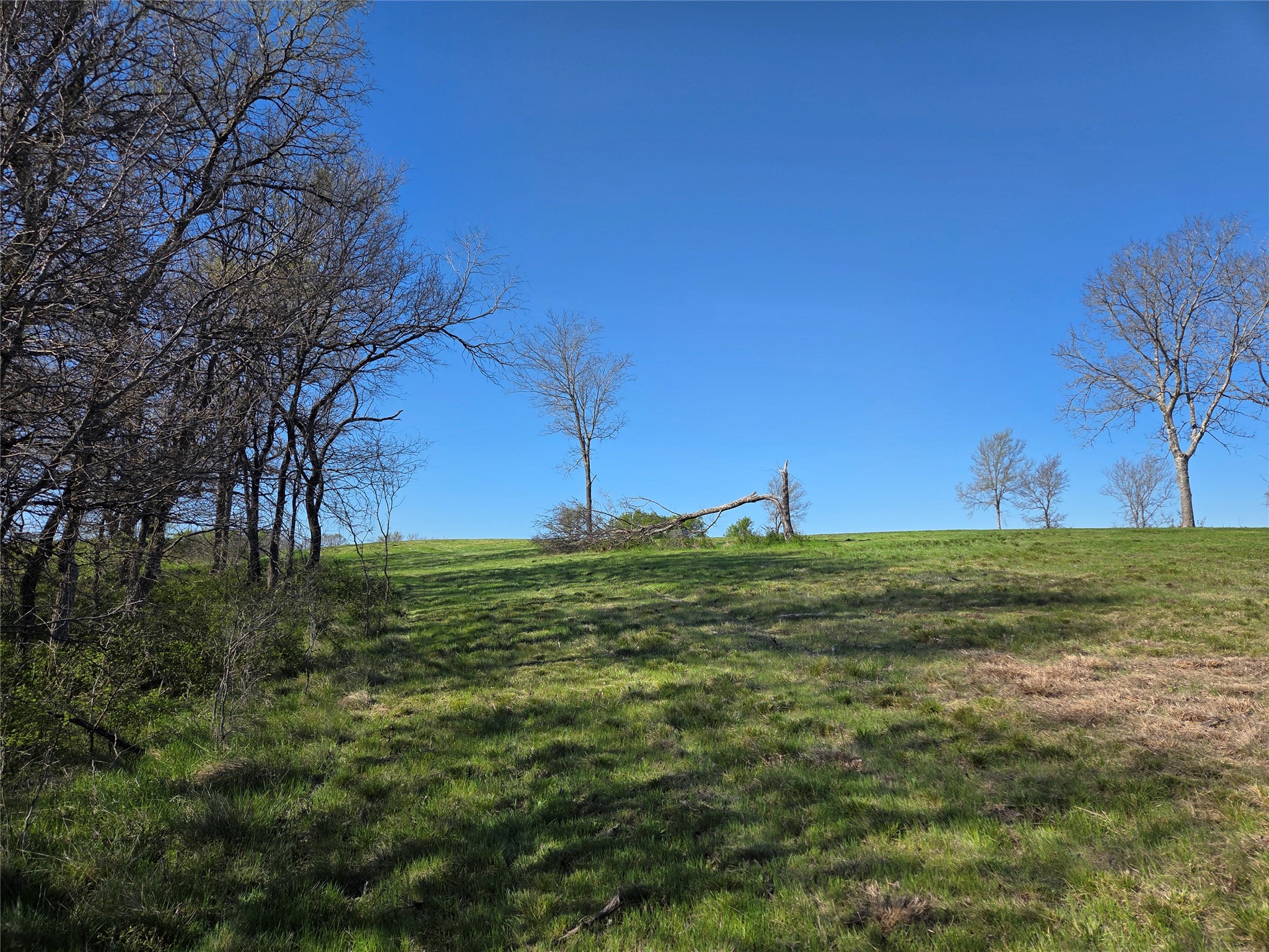 Lot 60 Sunset Court Corsicana TX 75109