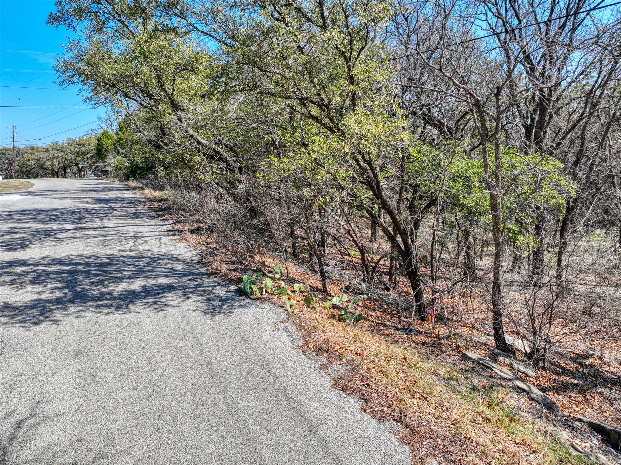 1115 Brazos Drive Granbury TX 76048