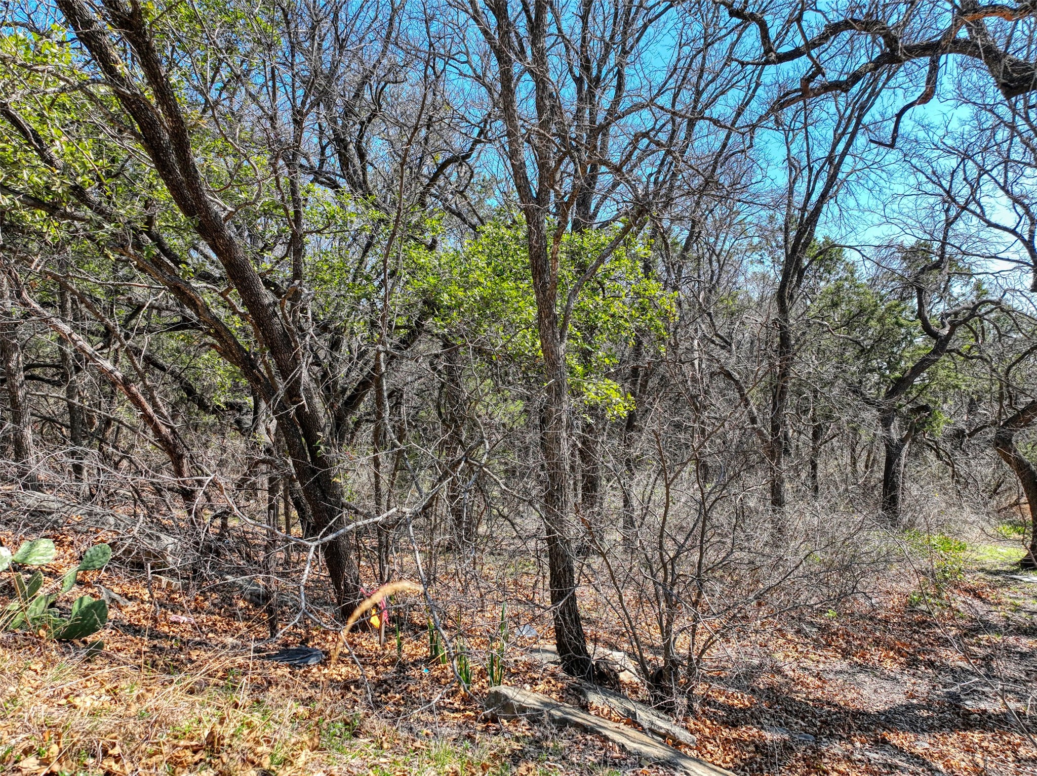 1115 Brazos Drive Granbury TX 76048