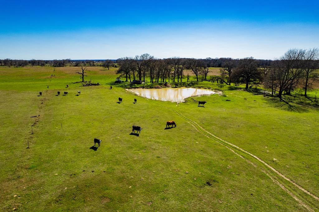 12559 Cr 2404 Kemp TX 75143