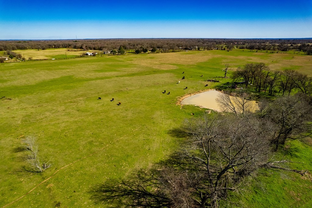 12559 Cr 2404 Kemp TX 75143
