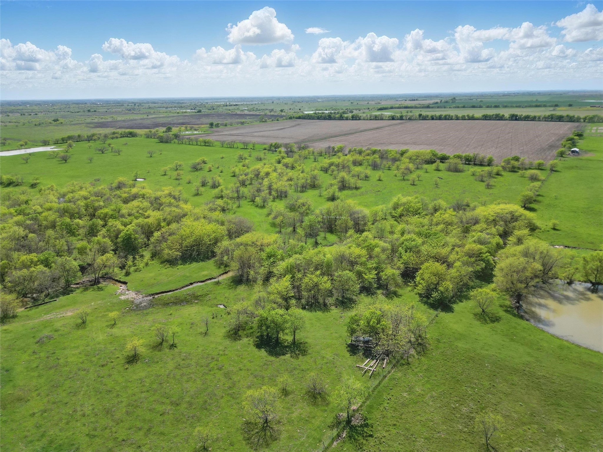 Tbd Westman Road Gunter TX 75058