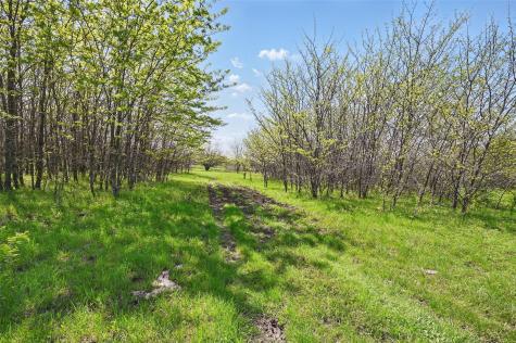 Tbd Westman Road Gunter TX 75058