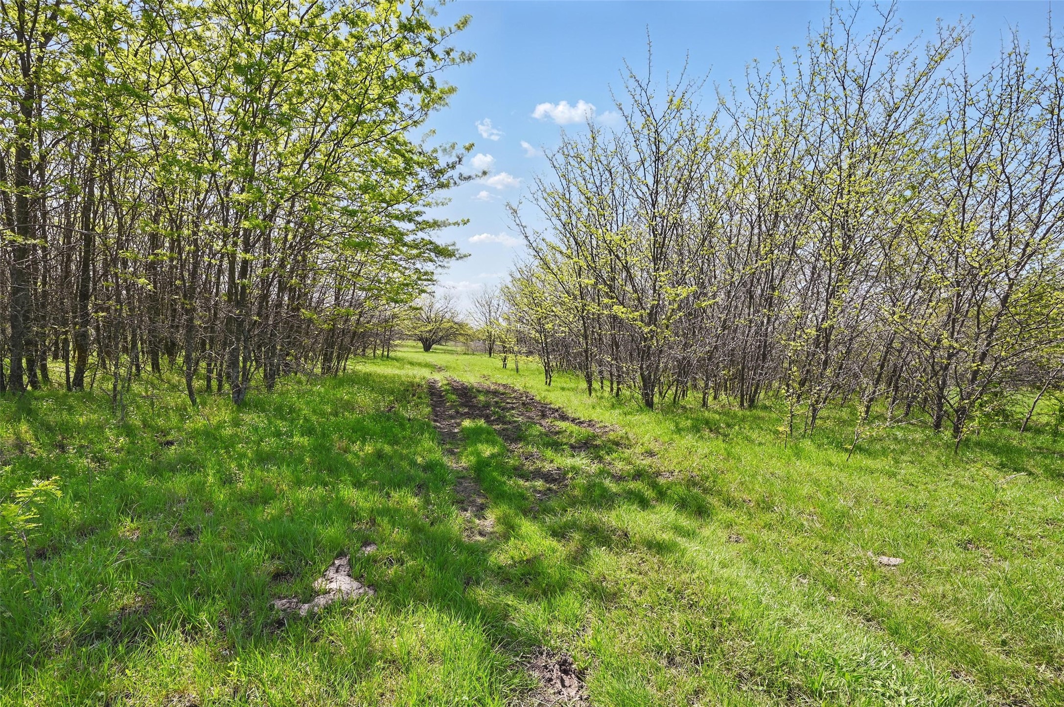 Tbd Westman Road Gunter TX 75058