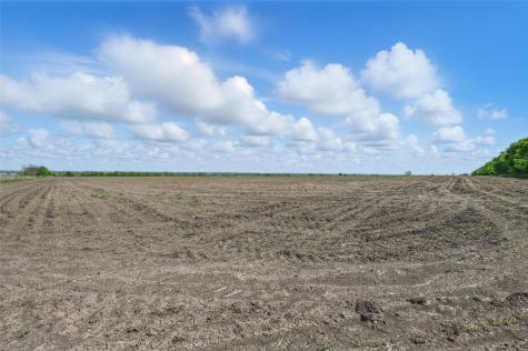 Tbd Westman Road Gunter TX 75058