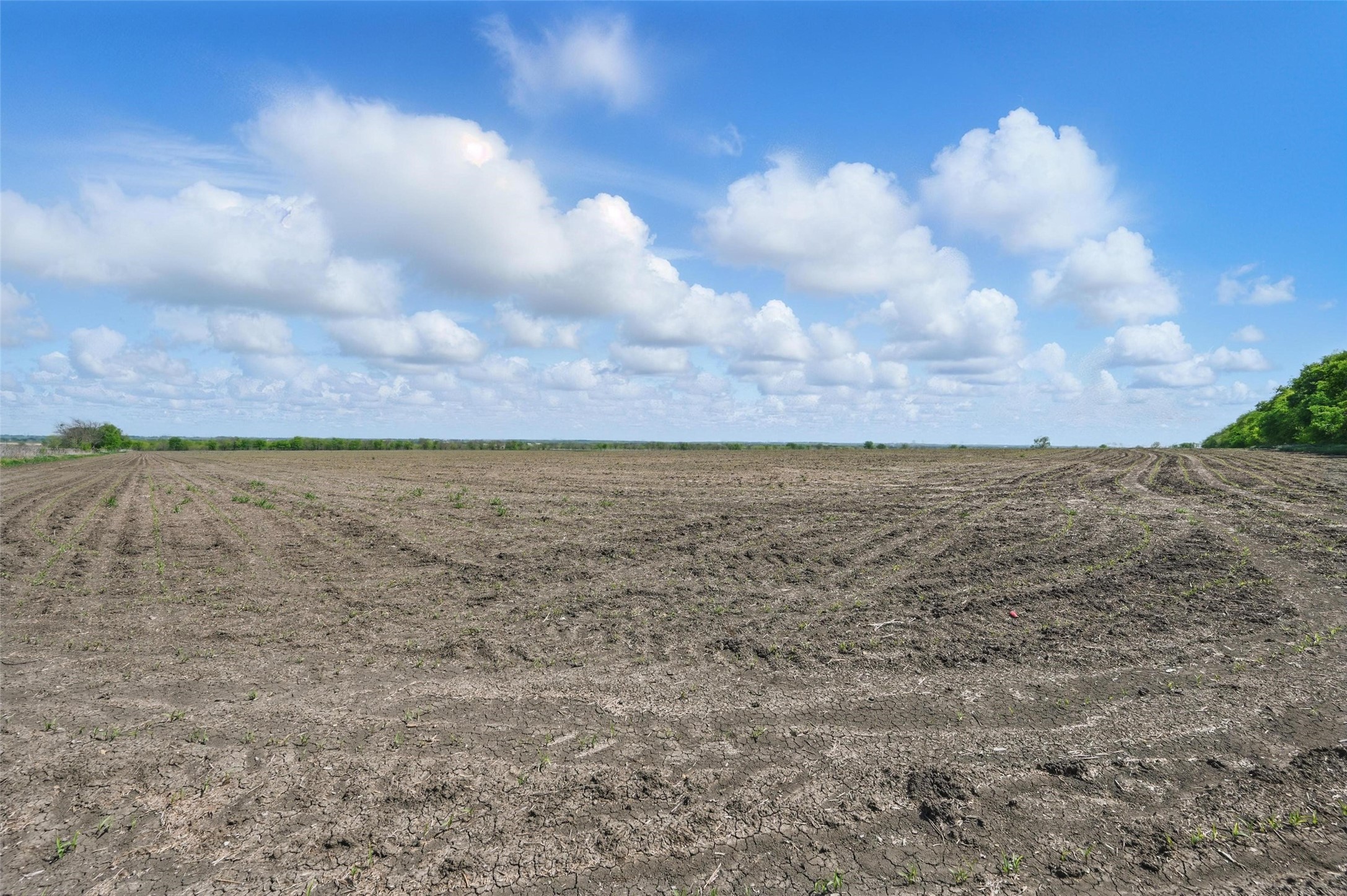 Tbd Westman Road Gunter TX 75058