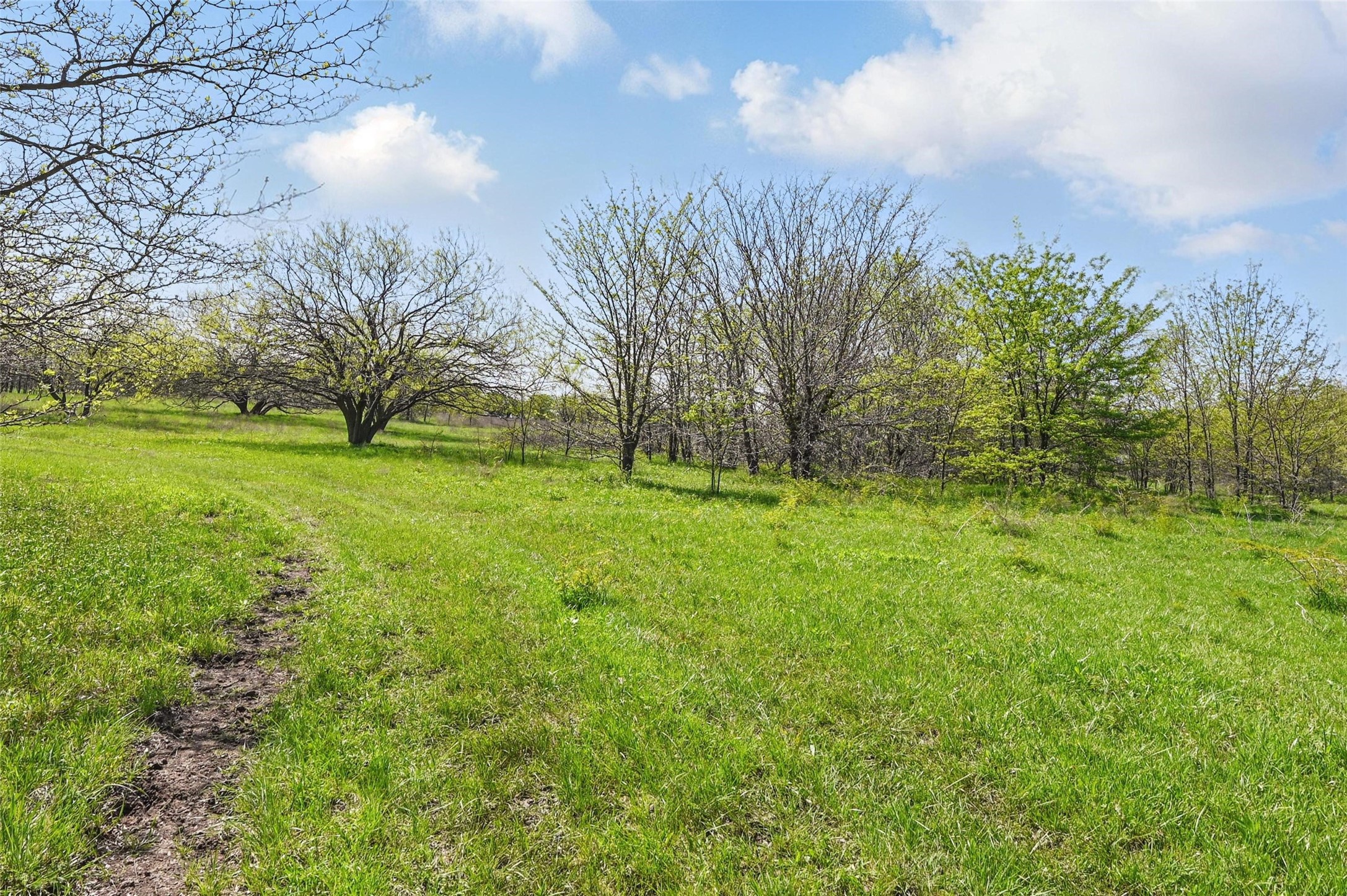 Tbd Westman Road Gunter TX 75058