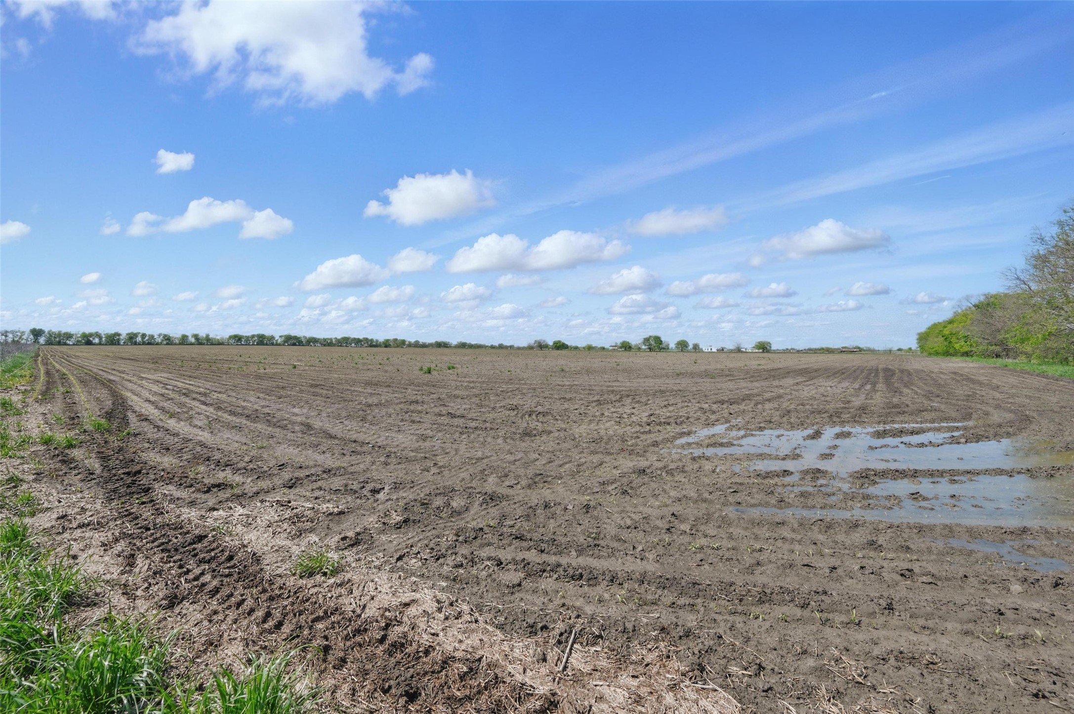 Tbd Westman Road Gunter TX 75058