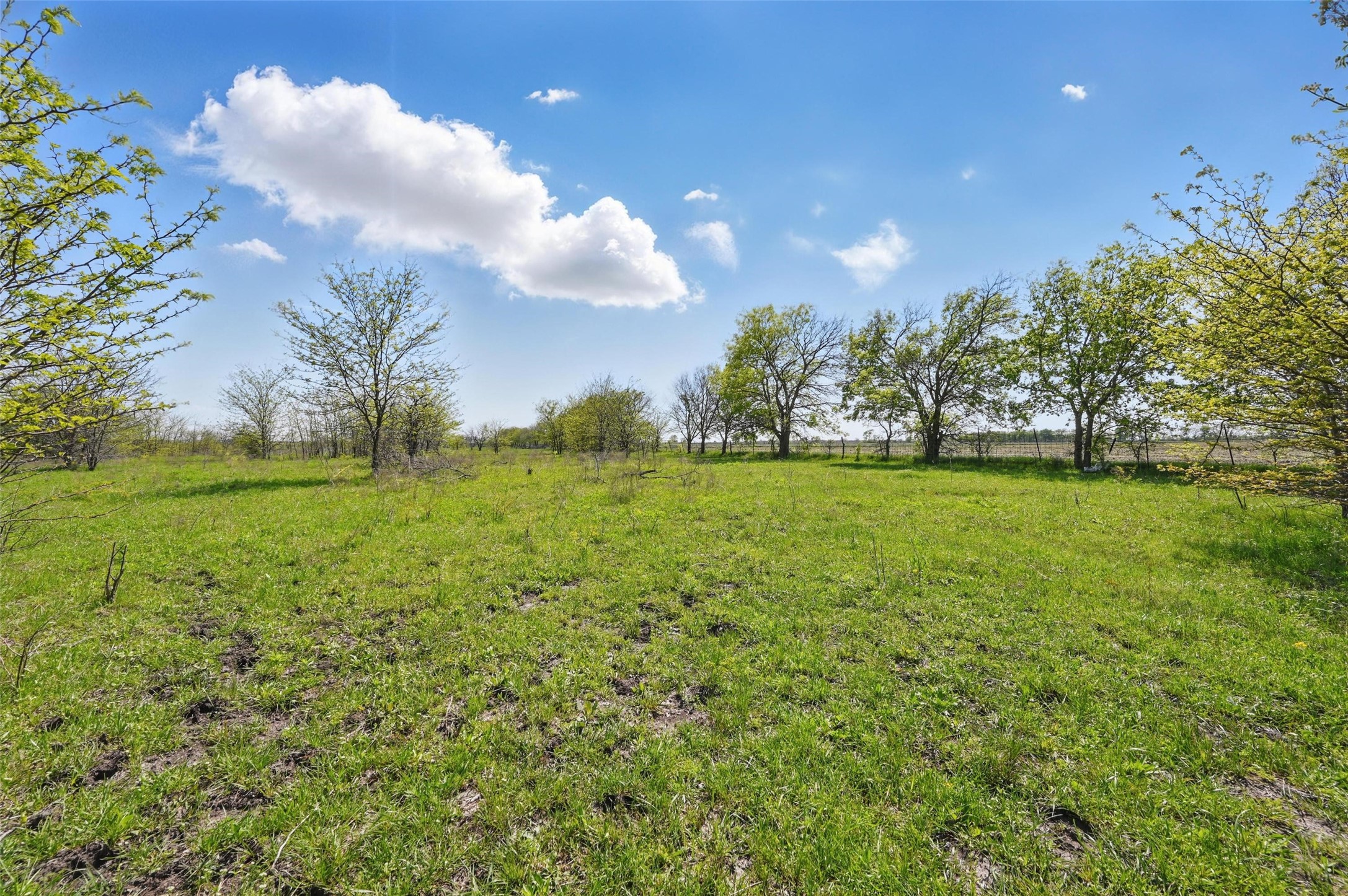 Tbd Westman Road Gunter TX 75058