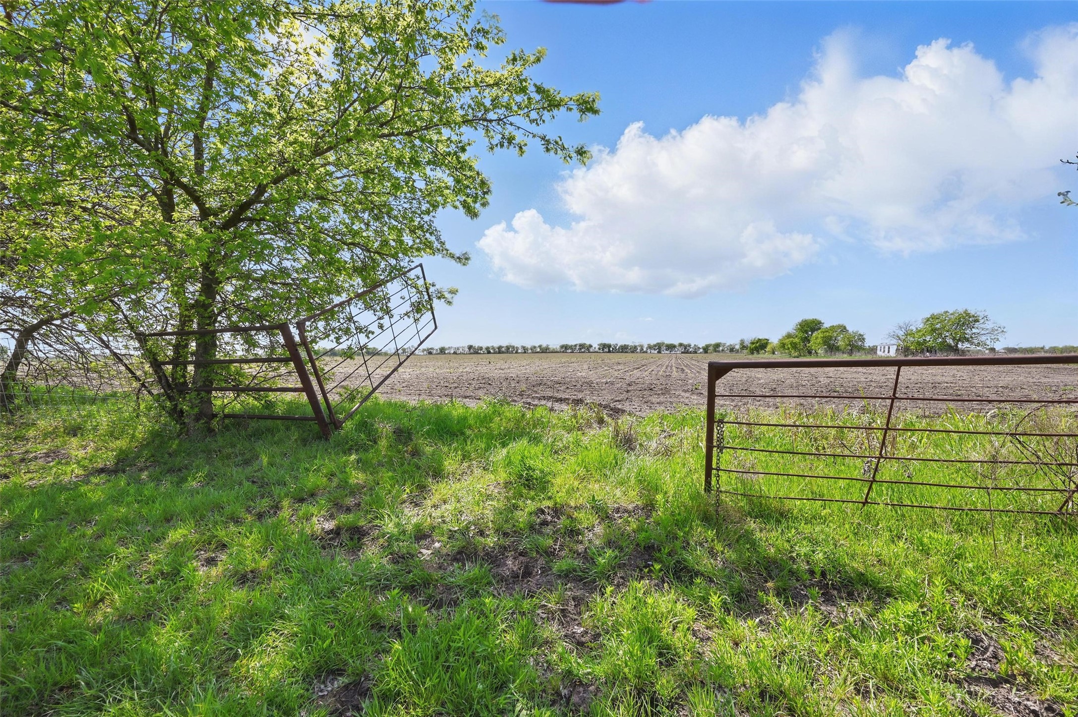 Tbd Westman Road Gunter TX 75058