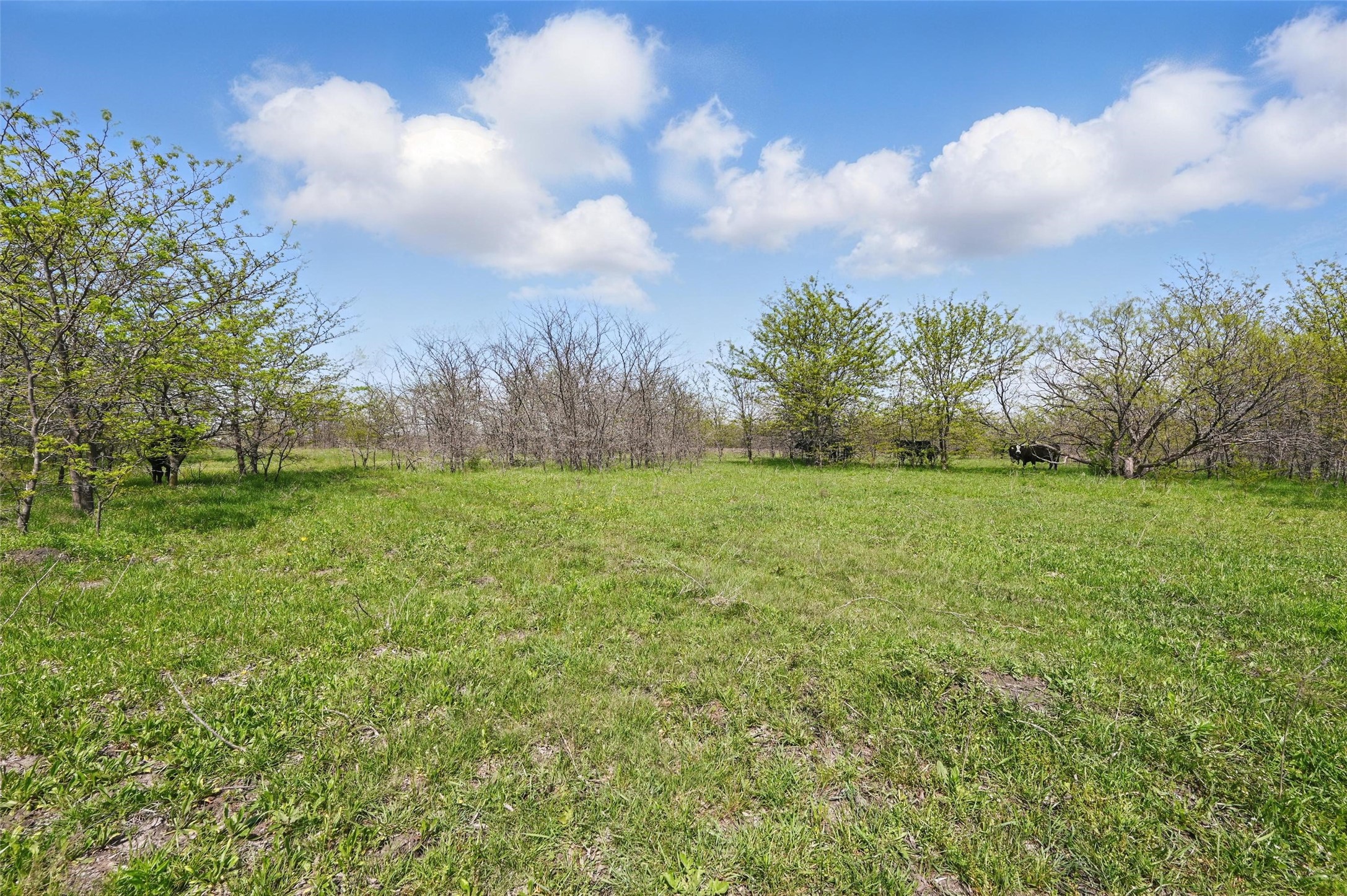 Tbd Westman Road Gunter TX 75058
