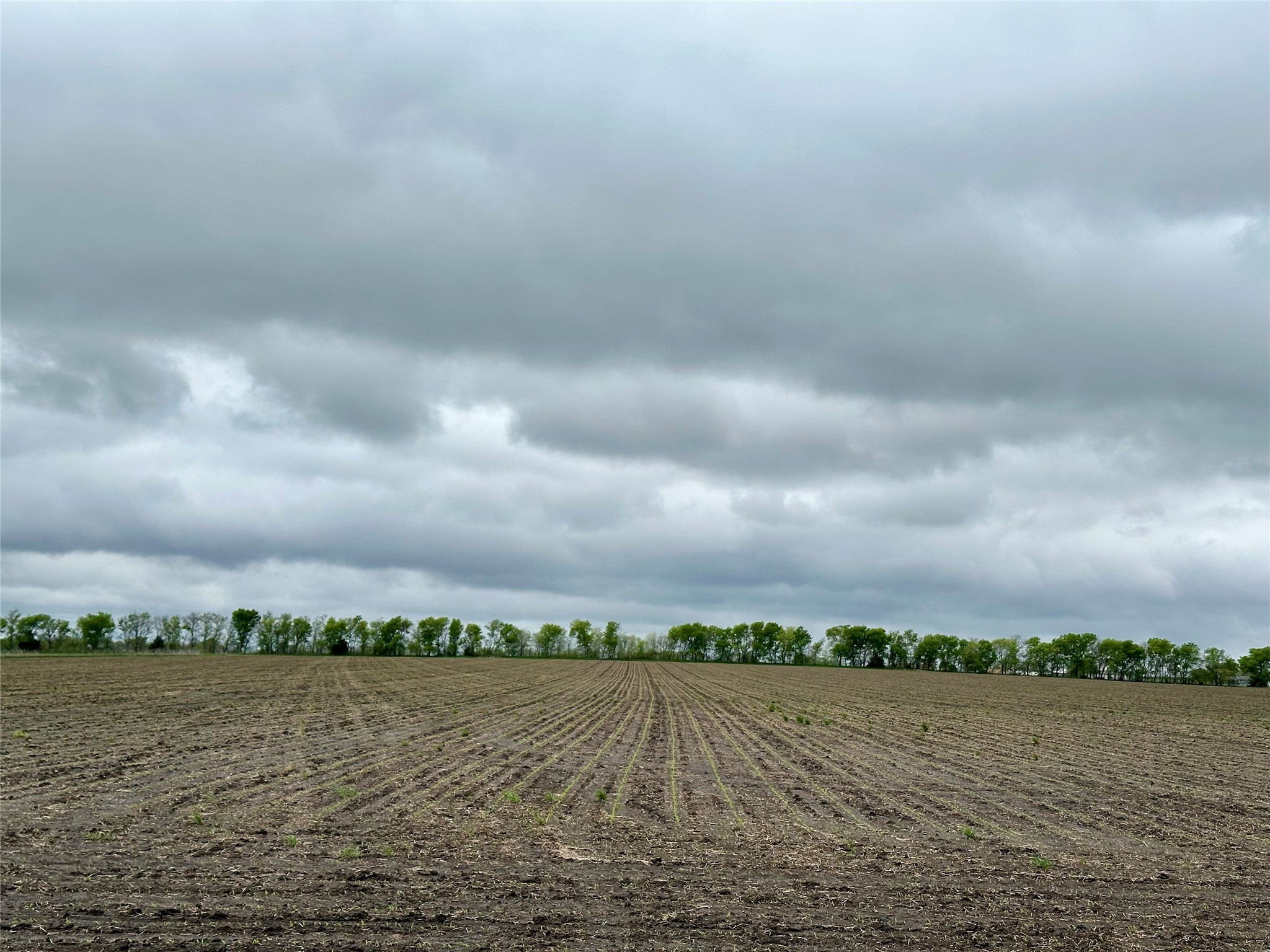 Tbd Westman Road Gunter TX 75058