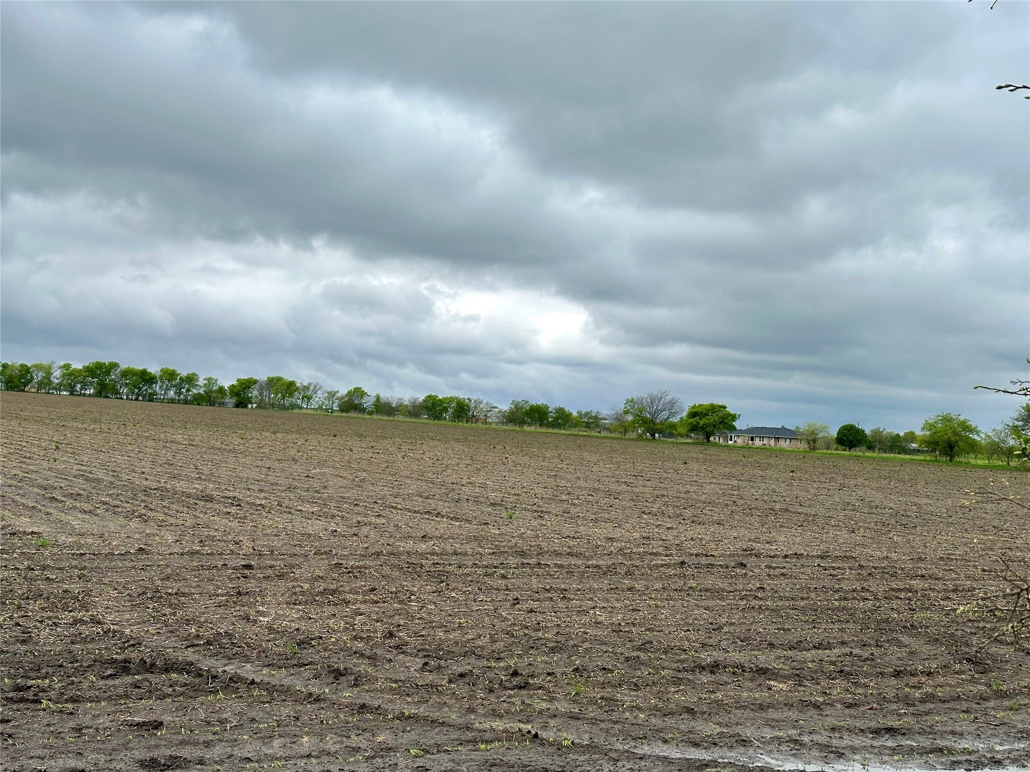 Tbd Westman Road Gunter TX 75058