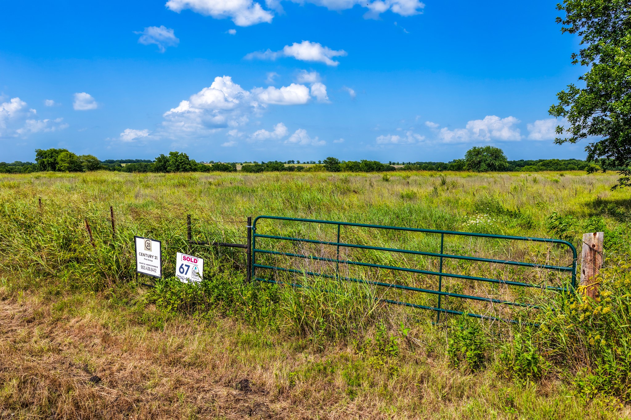 Lot 67 Fm 904 Pecan Gap TX 75469