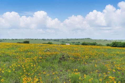 4500 White Settlement Road Willow Park TX 76087