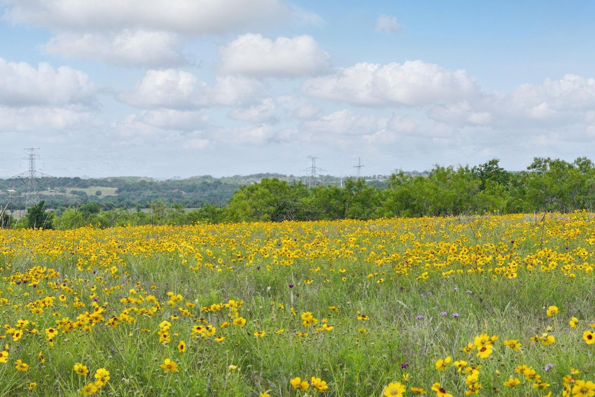 4500 White Settlement Road Willow Park TX 76087