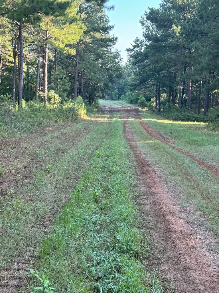 Tbd Highway 84 Timpson TX 75975