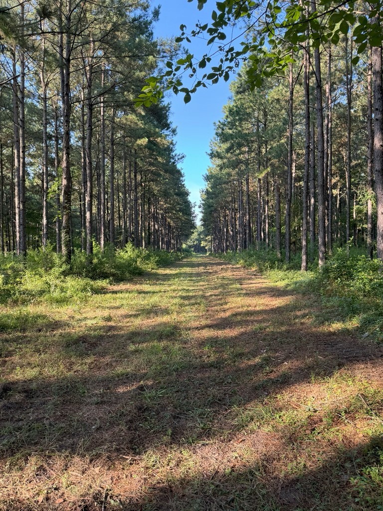 Tbd Highway 84 Timpson TX 75975