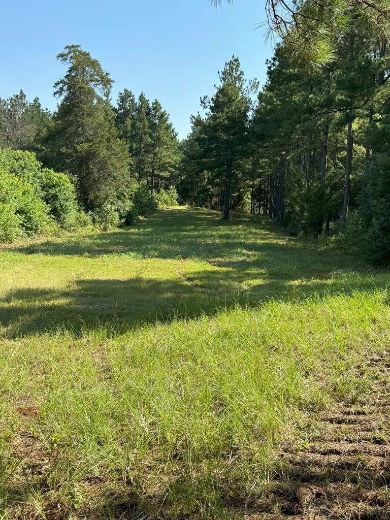 Tbd Highway 84 Timpson TX 75975