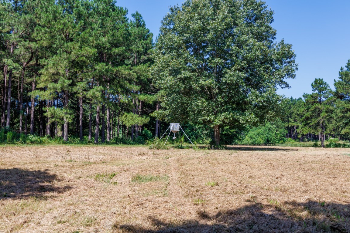Tbd Highway 84 Timpson TX 75975
