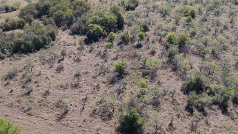 Tbd Tract 5 County Road 228 Tehuacana TX 76667