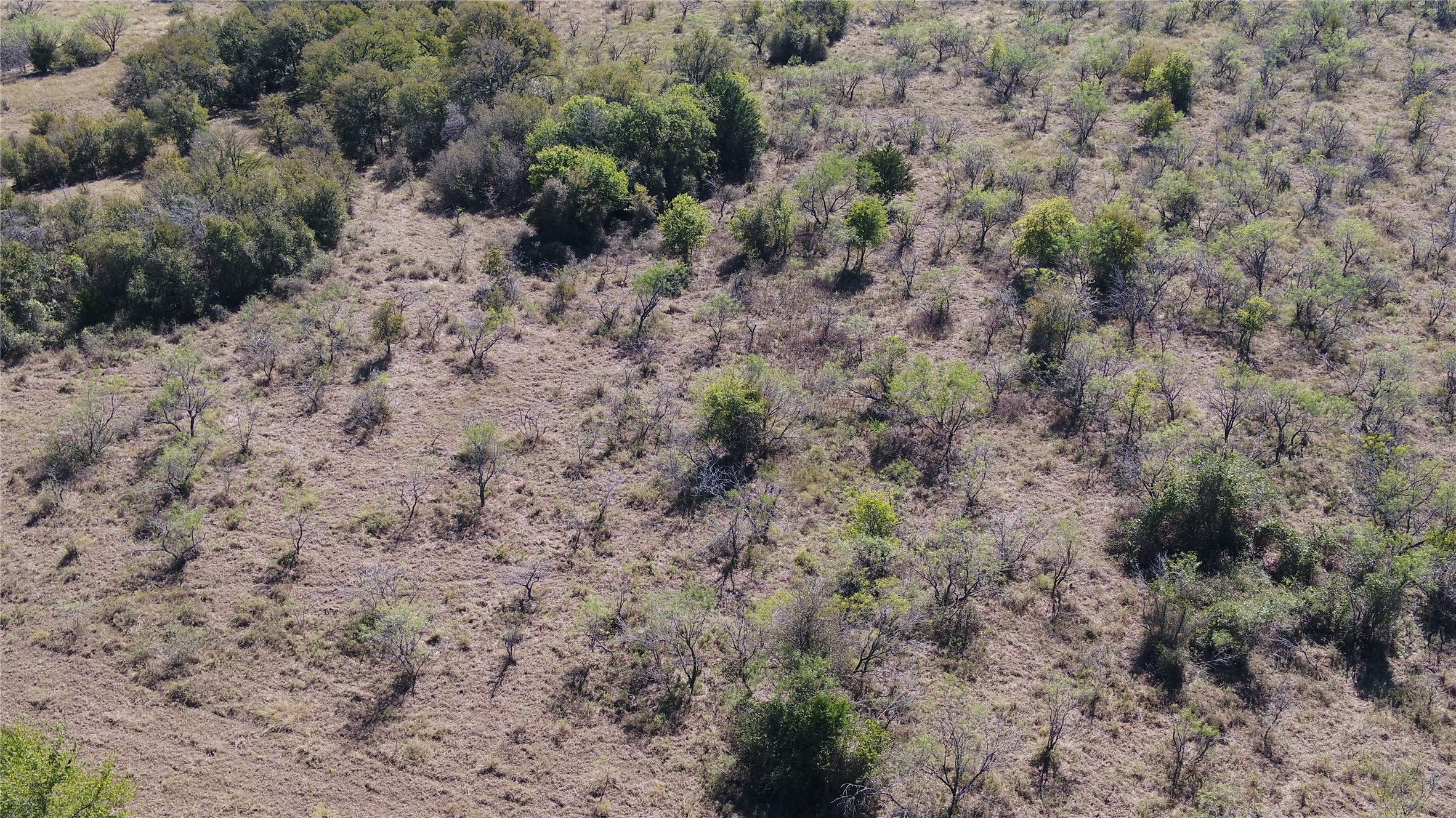 Tbd Tract 5 County Road 228 Tehuacana TX 76667