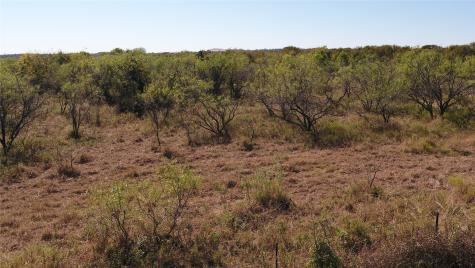 Tbd Tract 5 County Road 228 Tehuacana TX 76667