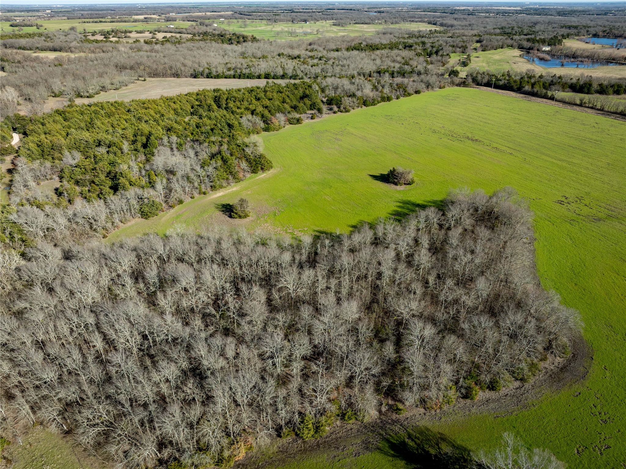 1500 County Road 24800 Road Roxton TX 75477
