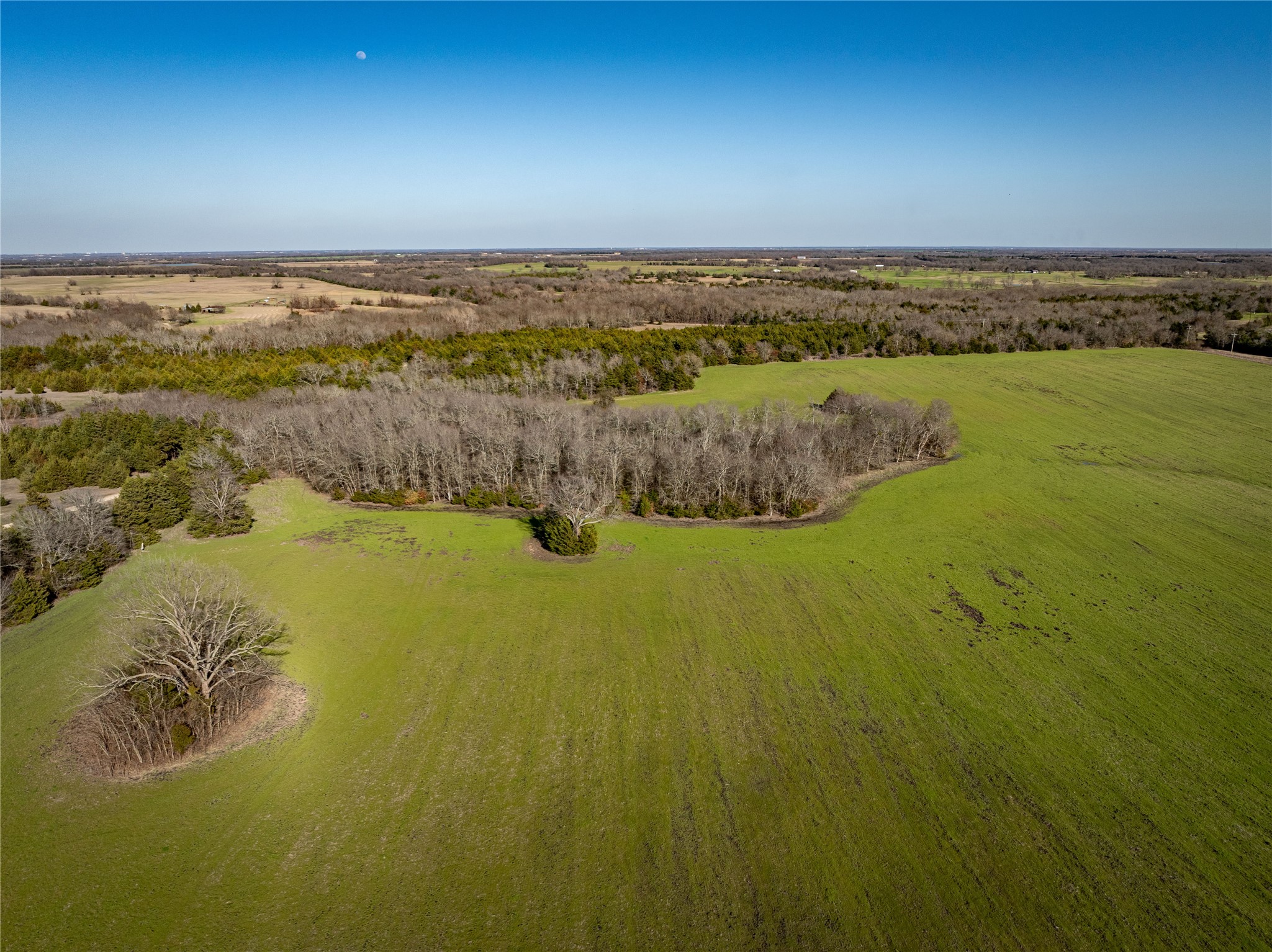 1500 County Road 24800 Road Roxton TX 75477