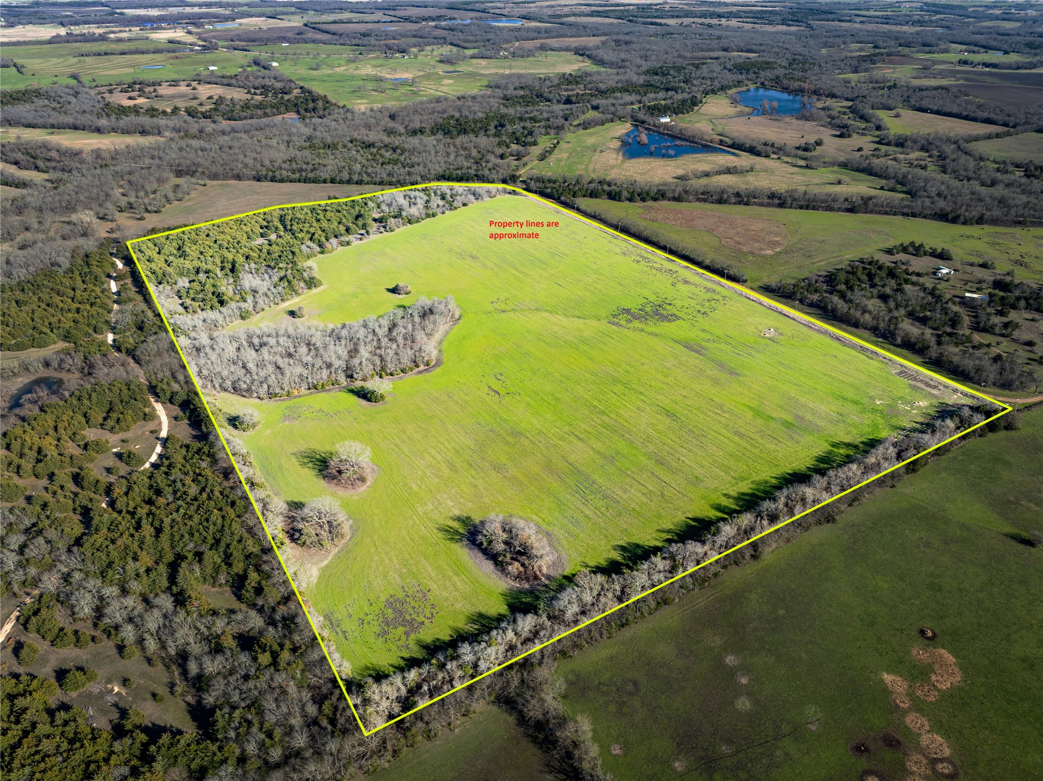 1500 County Road 24800 Road Roxton TX 75477