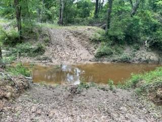 TBD 4 Fm 1848 Buffalo TX 75831