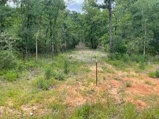 Tbd 4 Fm 1848 Buffalo TX 75831