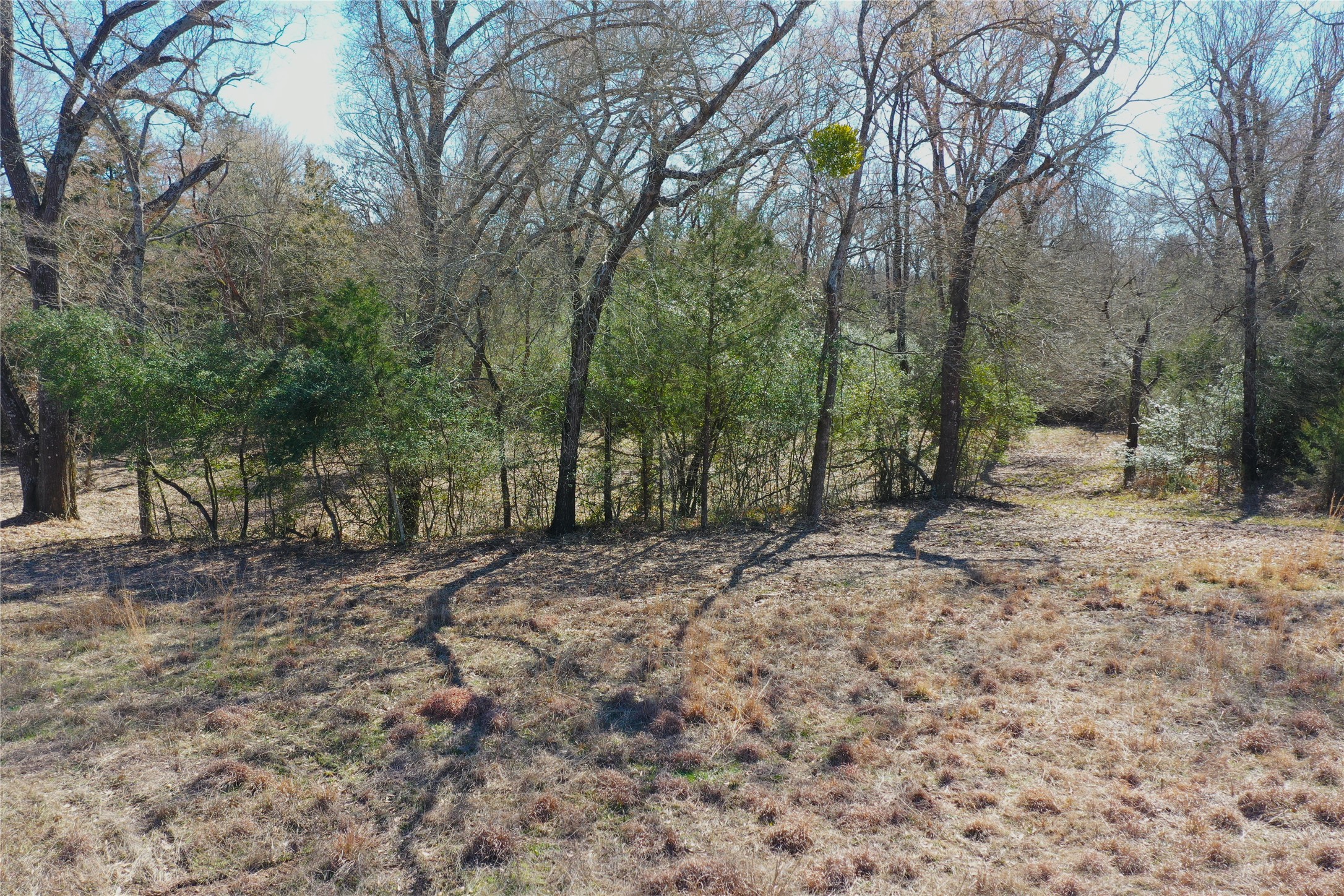337 Fcr 640 Teague TX 75860