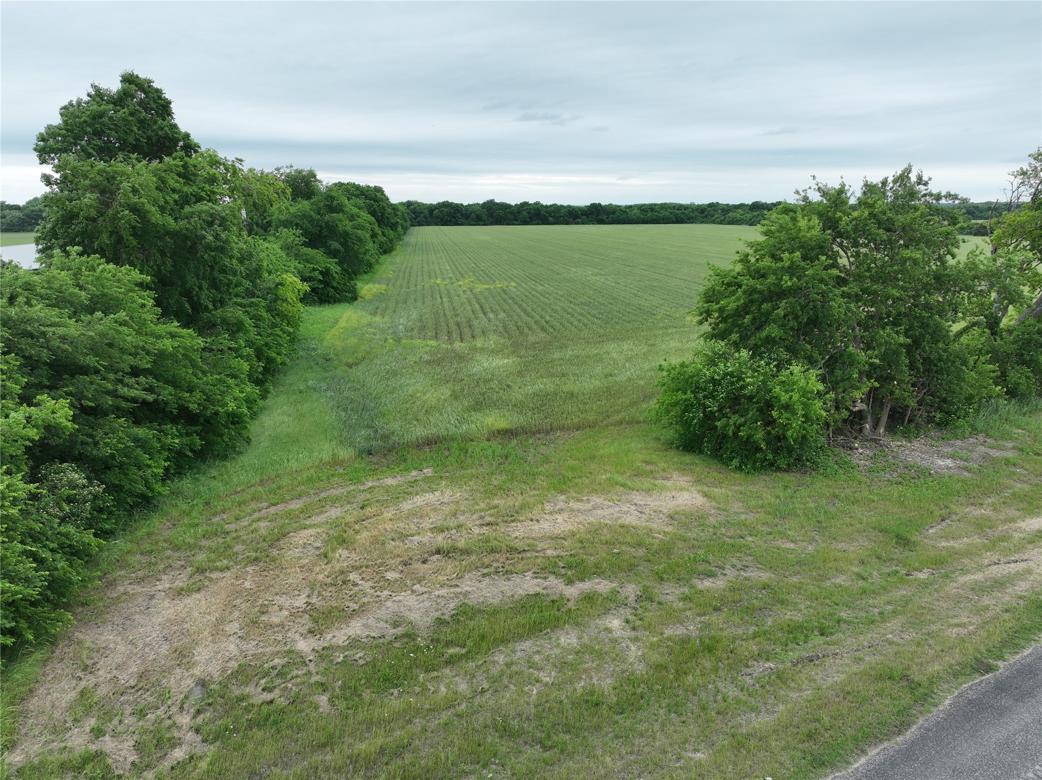 Tbd Highway 56 Highway Honey Grove TX 75446