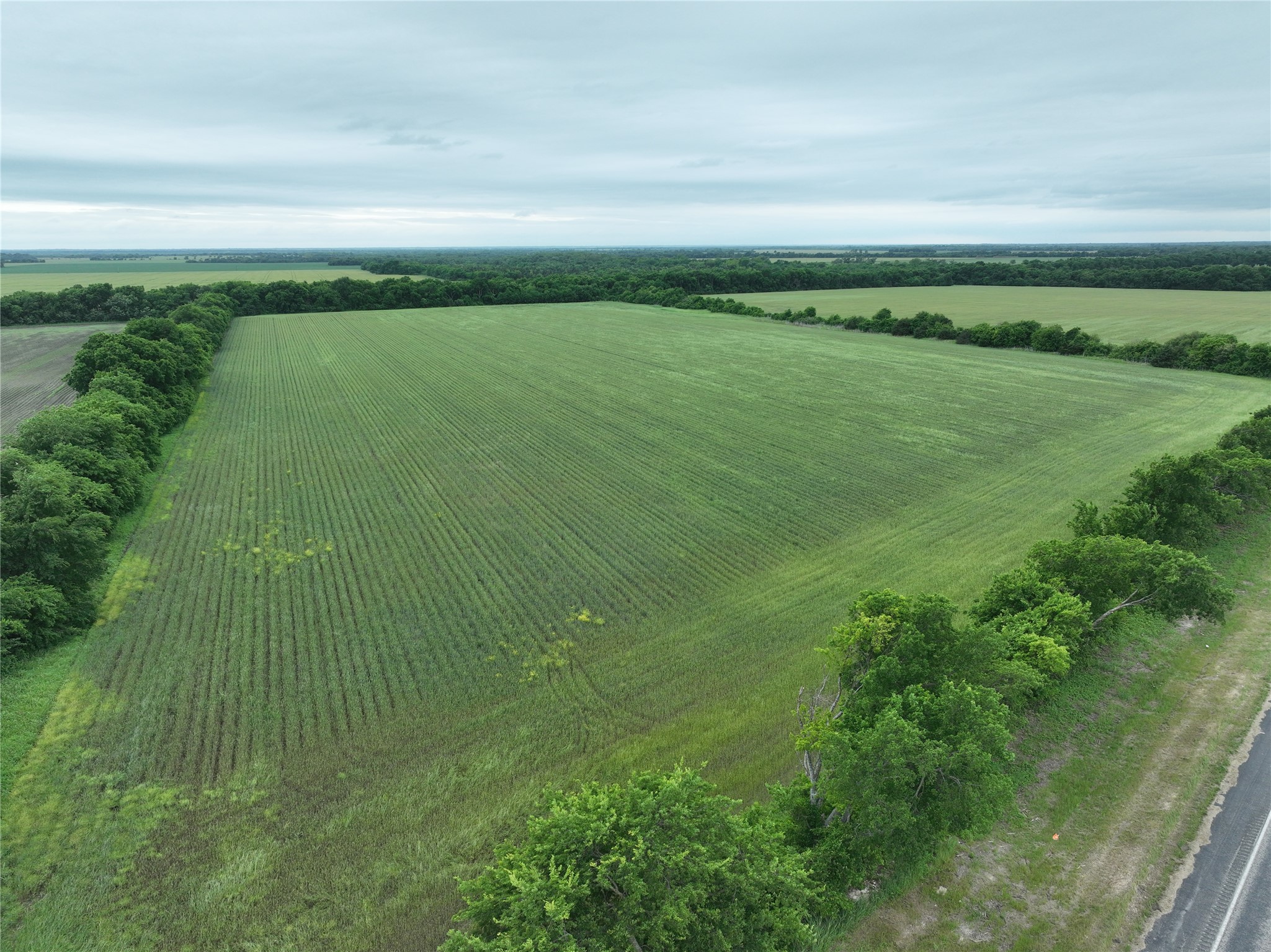Tbd Highway 56 Highway Honey Grove TX 75446
