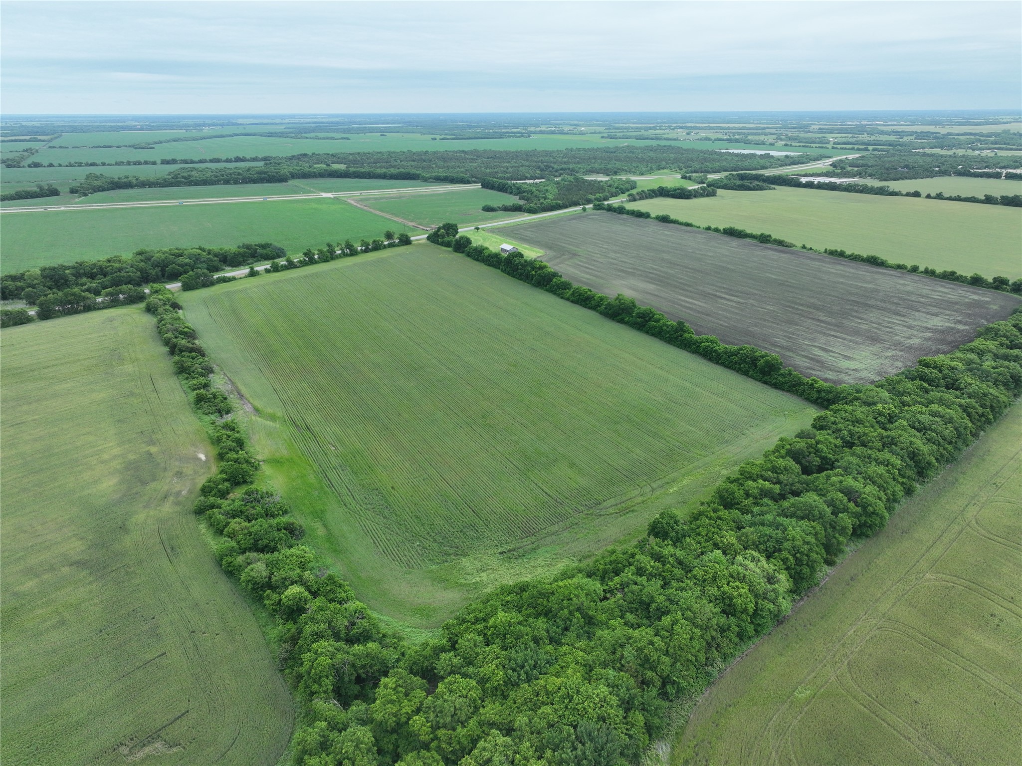 Tbd Highway 56 Highway Honey Grove TX 75446