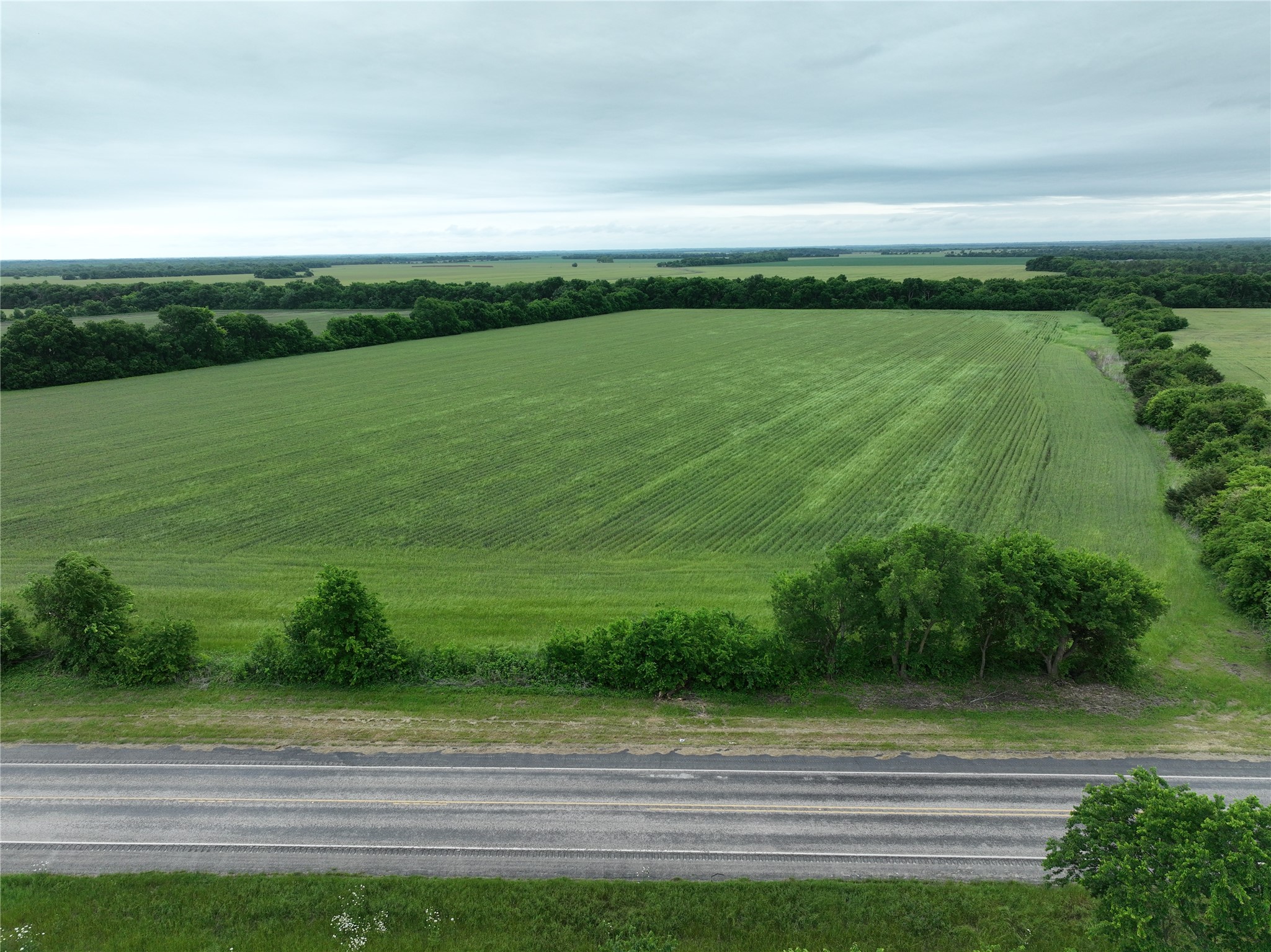 Tbd Highway 56 Highway Honey Grove TX 75446