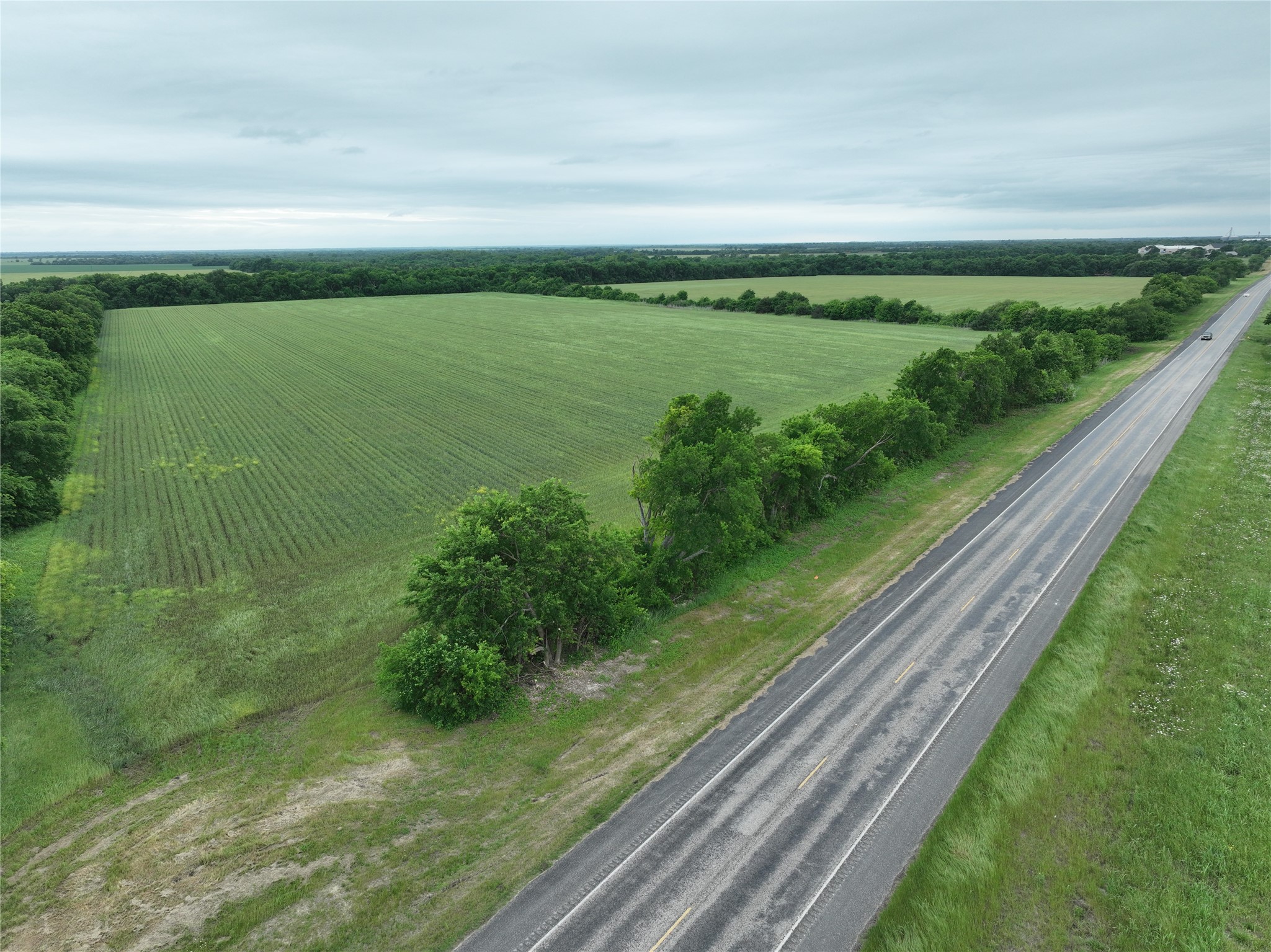 Tbd Highway 56 Highway Honey Grove TX 75446