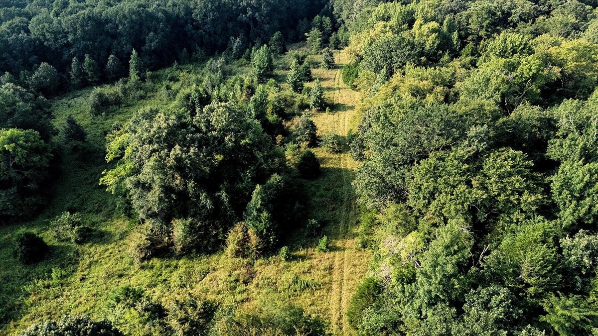 Tbd County Road 496 Lindale TX 75771