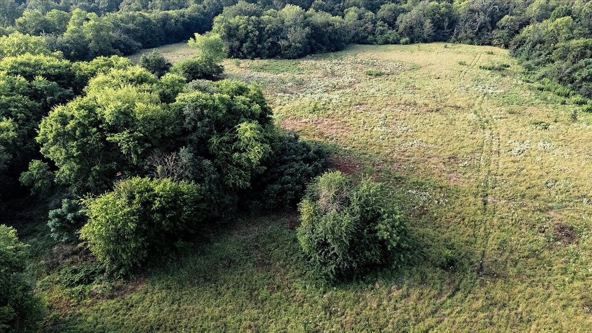 Tbd County Road 496 Lindale TX 75771