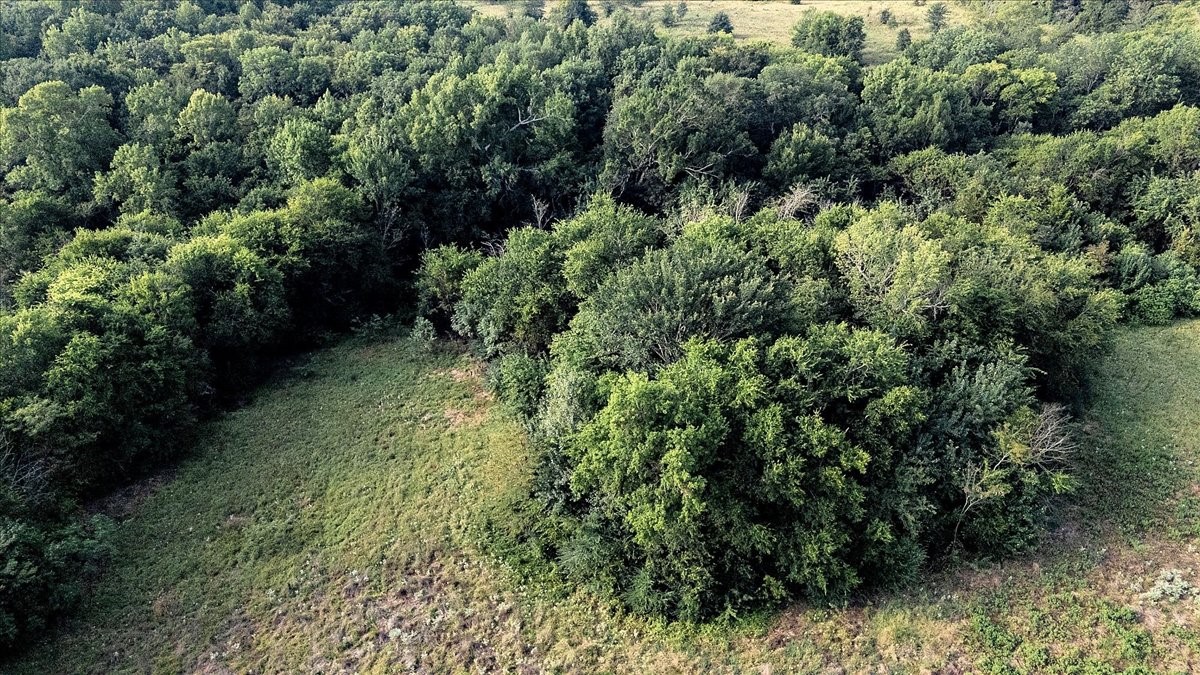 Tbd County Road 496 Lindale TX 75771