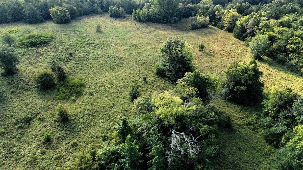 Tbd County Road 496 Lindale TX 75771
