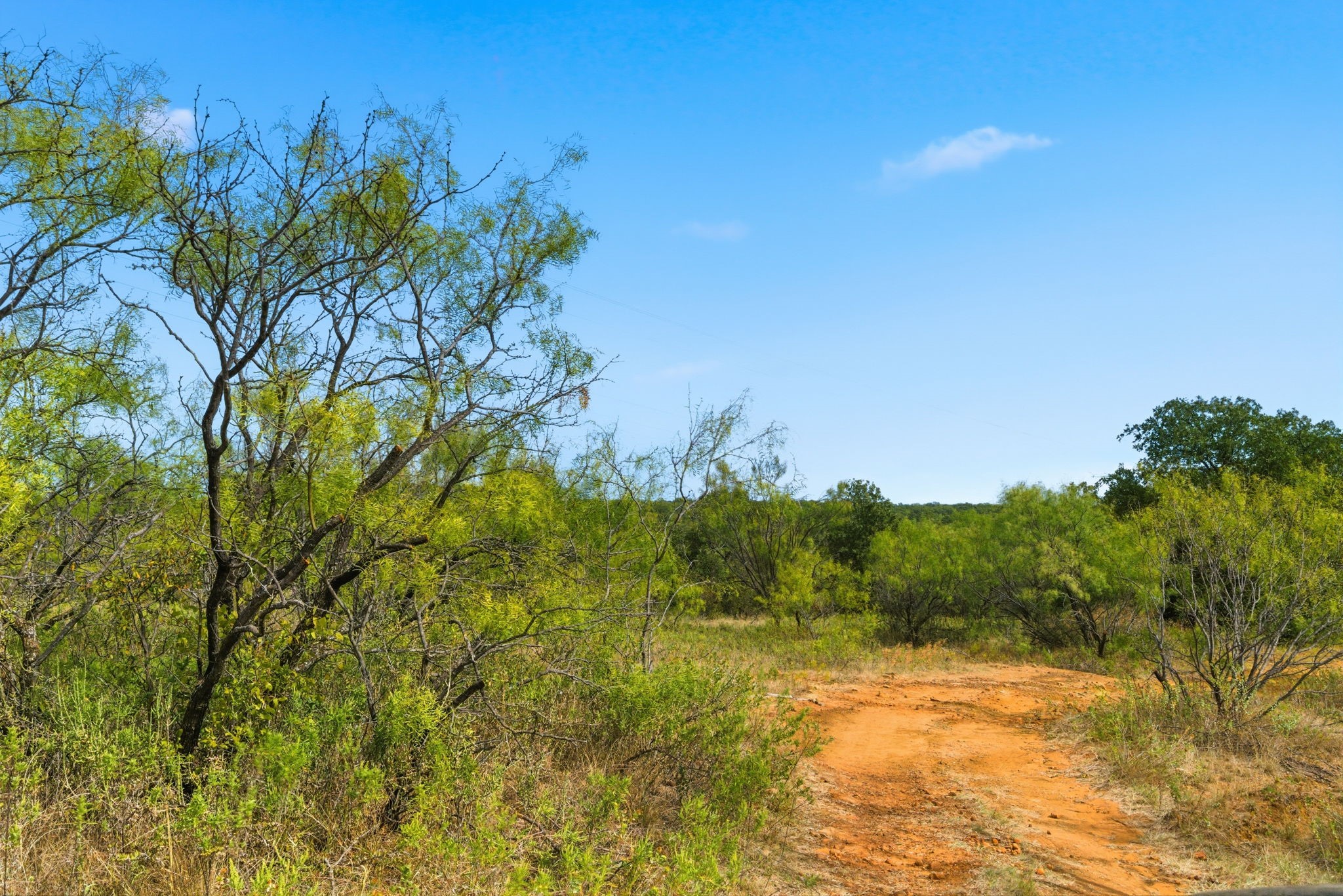 Tbd Highway 16 N Graham TX 76450