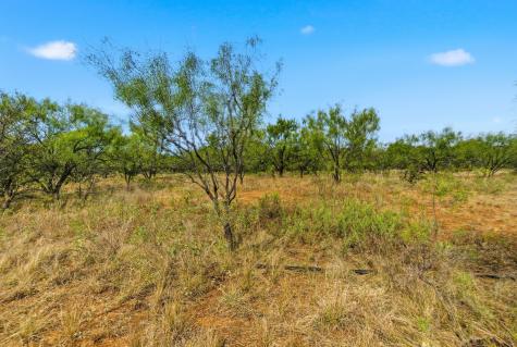 Tbd Highway 16 N Graham TX 76450