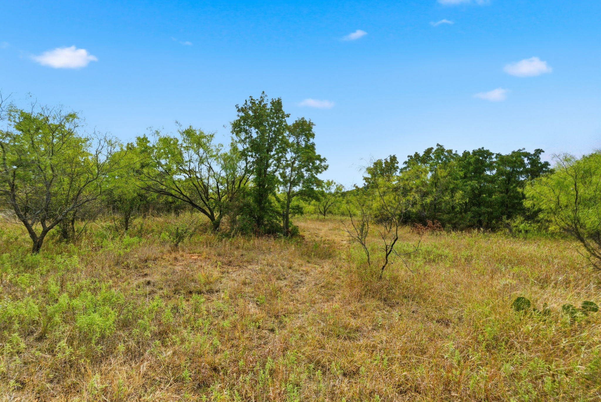 Tbd Highway 16 N Graham TX 76450
