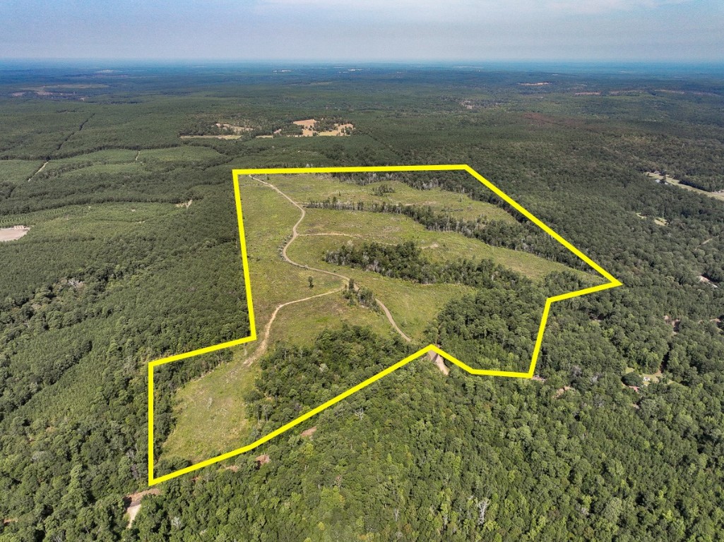 1 County Road 3725 Colmesneil TX 75938