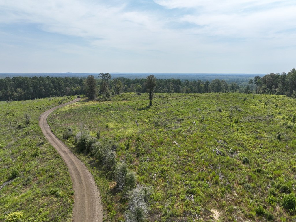 1 County Road 3725 Colmesneil TX 75938